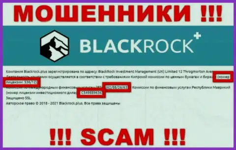 БлэкРокПлюс скрывают свою жульническую сущность, представляя у себя на информационном сервисе лицензионный документ