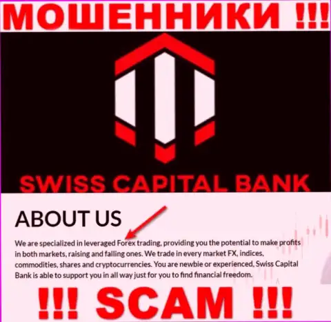 Форекс - в указанном направлении предоставляют услуги internet-мошенники Swiss Capital Bank
