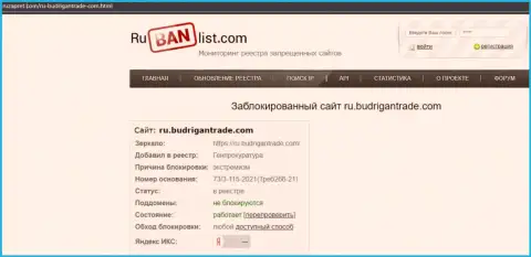 Web-портал Budrigan Ltd в пределах Российской Федерации был заблокирован Генпрокуратурой