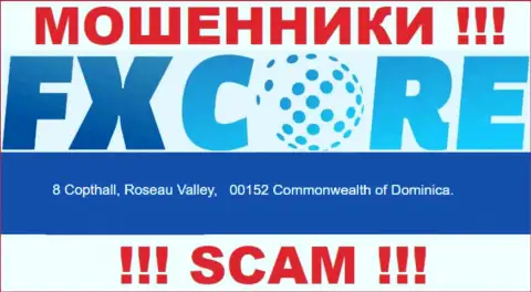 Посетив сайт FX Core Trade можете увидеть, что располагаются они в офшоре: 8 Copthall, Roseau Valley, 00152 Commonwealth of Dominica - это РАЗВОДИЛЫ !!!