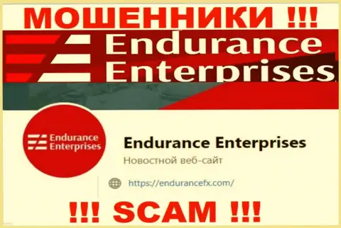 Установить связь с интернет-махинаторами из Endurance Enterprises Вы сможете, если отправите сообщение на их e-mail