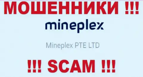 Руководством МайнПлекс Ио оказалась организация - Mineplex PTE LTD
