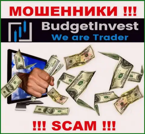 Абсолютно все слова работников из компании BudgetInvest Org лишь ничего не значащие слова - это МАХИНАТОРЫ !!!