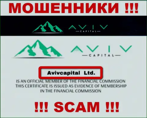 Вот кто владеет организацией Aviv Capital - это АвивКапитал Лтд