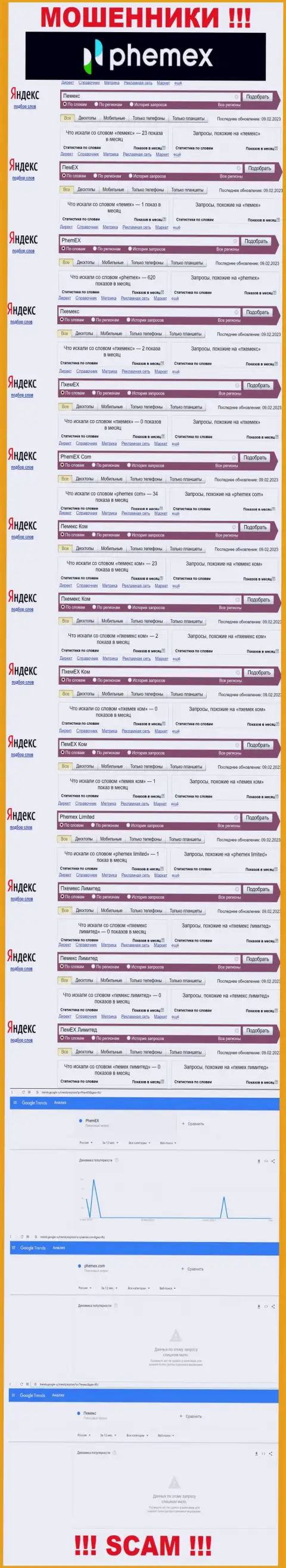 Детальная информация по количеству online запросов по мошенникам PhemEX в сети интернет
