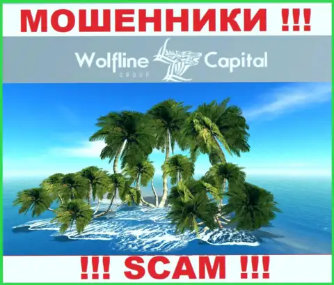Мошенники Wolfline Capital не публикуют достоверную инфу касательно своей юрисдикции