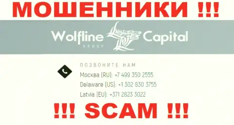 Будьте осторожны, если названивают с незнакомых номеров телефона, это могут быть интернет-воры Wolfline Capital