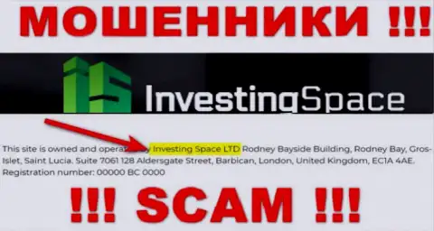 Информация об юридическом лице InvestingSpace, ими является организация Investing Space LTD