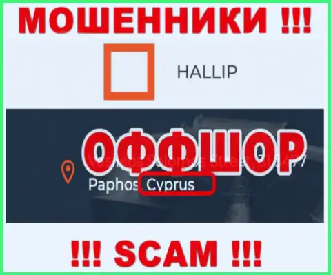 Лохотрон Халлип зарегистрирован на территории - Cyprus