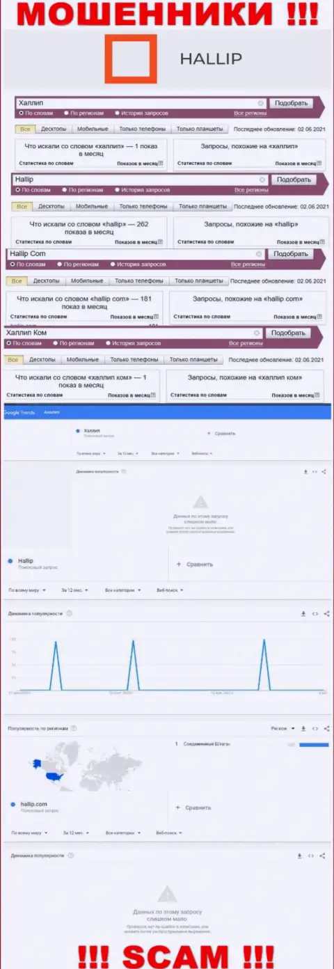 Статистические данные о онлайн запросах по бренду мошенников Hallip