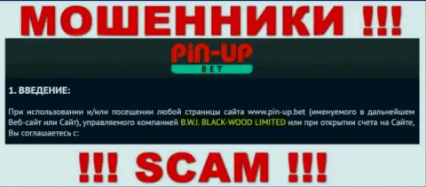 Юридическое лицо конторы PinUpBet - это Б.В.И. БЛЕК-ВУД ЛТД, информация взята с официального сайта