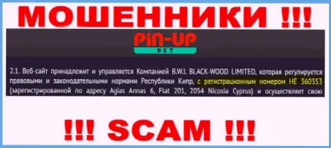 Не работайте совместно с организацией Пин Ап Бет, регистрационный номер (HE 360353) не повод вводить финансовые средства