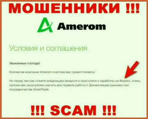 Не советуем доверять вложенные деньги Amerom De, поскольку их сфера деятельности, FOREX, капкан