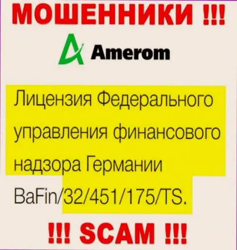 На информационном ресурсе Амером размещена их лицензия, но это наглые разводилы - не нужно доверять им