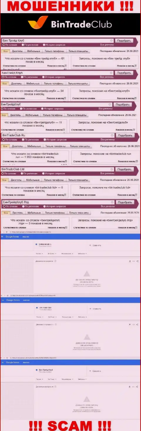 Статистические данные онлайн-запросов в поисковиках сети касательно мошенников BinTradeClub Ru