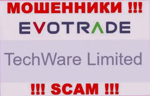 Юридическим лицом EvoTrade считается - TechWare Limited