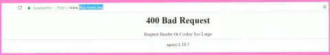 Официальный интернет-портал форекс брокера Фибо Груп Лтд несколько дней вне доступа и показывает - 400 Bad Request (ошибка)