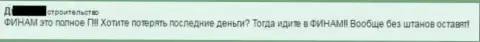 С Финам незаметно возможно оказаться без штанов - это взгляд валютного игрока