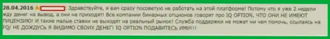 Поддержка FOREX дилера Ай Кью Опцион функционирует ужасно, отзыв биржевого трейдера указанного форекс ДЦ