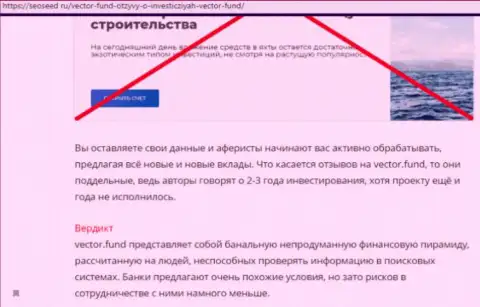 Вектор Фонд - это хайп-компания, работая с которой Вы останетесь без денег (недоброжелательный комментарий)